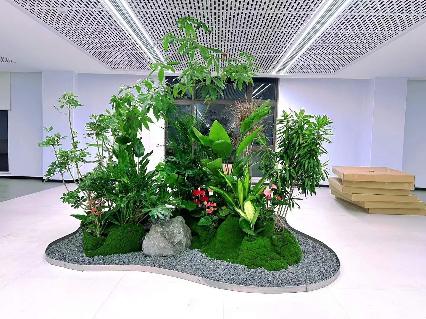 体验前湾花木租摆，享受绿色环绕的美好生活！